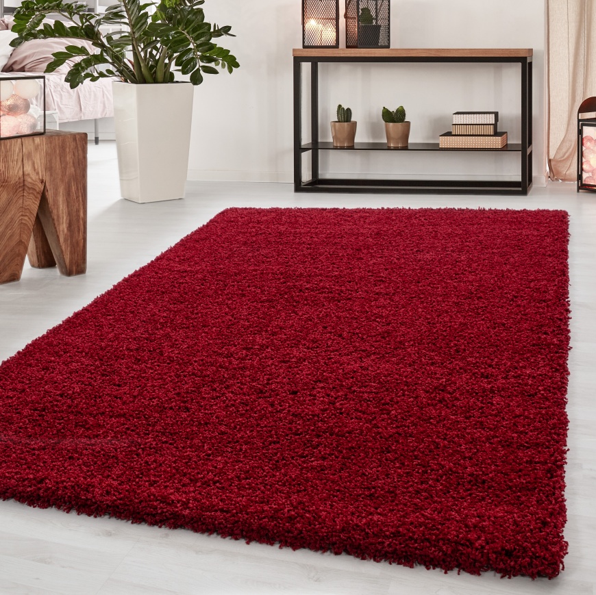 Dream Shaggy Plain Red Rug